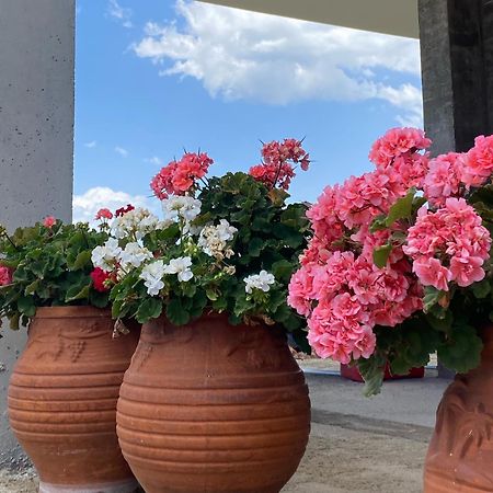Diana Studios Vurvurú Kültér fotó